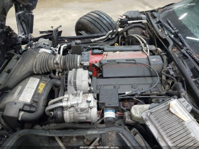 1996 CHEVROLET CORVETTE 1G1YY2259T5106592 Photo 9