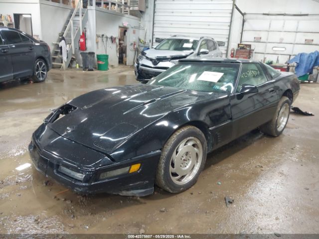 1996 CHEVROLET CORVETTE 1G1YY2259T5106592 Photo 1