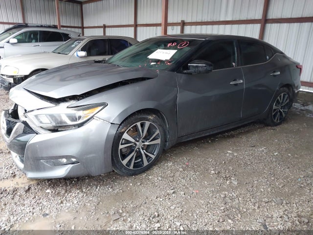 1N4AA6AP4JC390235 Nissan Maxima 3.5 S