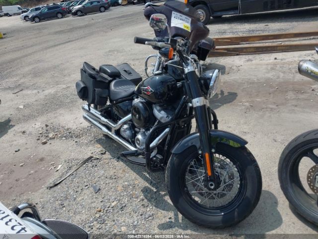 2021 HARLEY-DAVIDSON FLSL 1HD1YDJ14MB013810