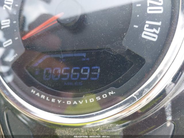 2021 HARLEY-DAVIDSON FLSL 1HD1YDJ14MB013810 Photo 6