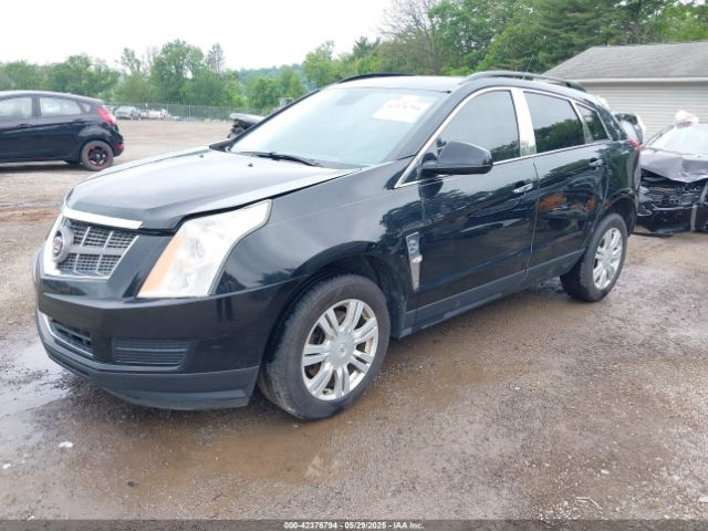 2010 CADILLAC SRX 3GYFNGEY5AS626845 Photo 1