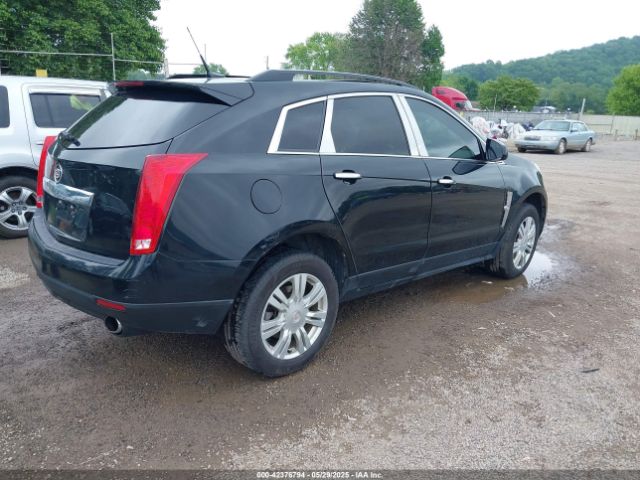 2010 CADILLAC SRX 3GYFNGEY5AS626845 Photo 3