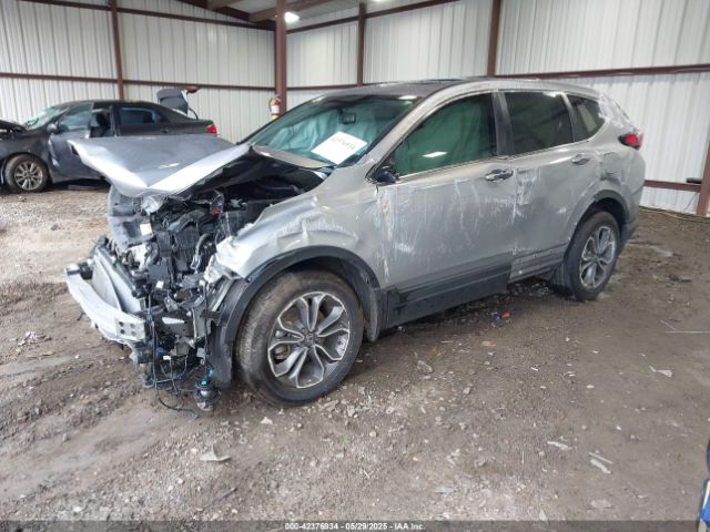 2022 HONDA CR-V 7FARW2H88NE049519 Photo 1