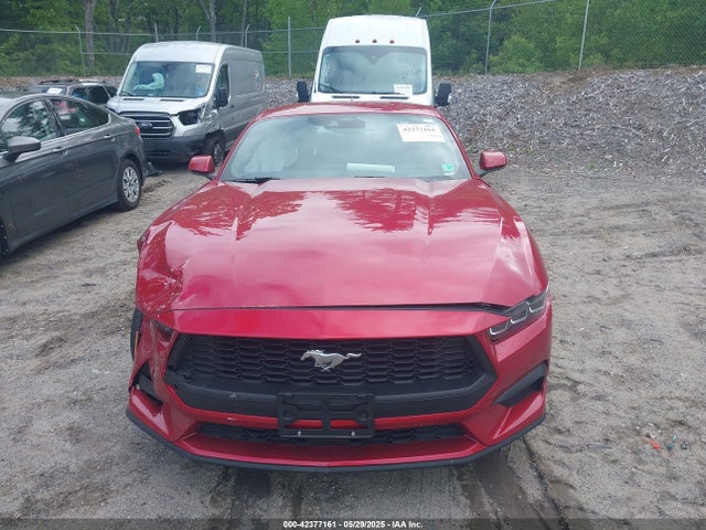 Ford 4v 2024 1FA6P8TH8R5122097 Image 13