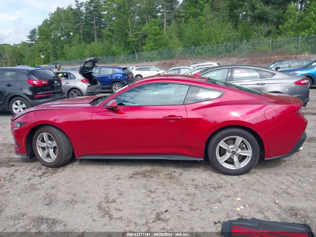 Ford 4v 2024 1FA6P8TH8R5122097 Image 15