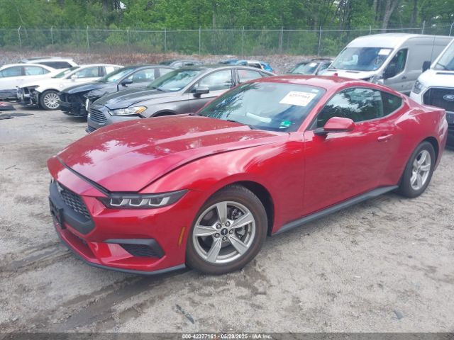 2024 FORD MUSTANG 1FA6P8TH8R5122097 Photo 1