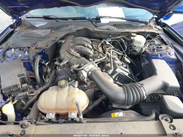 1FA6P8AM6F5411572 Ford Mustang V6