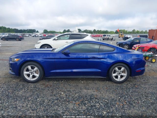 1FA6P8AM6F5411572 Ford Mustang V6
