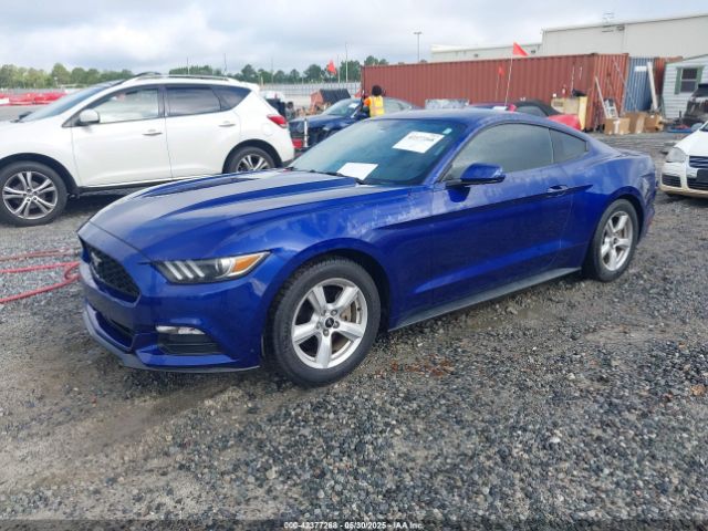 1FA6P8AM6F5411572 Ford Mustang V6