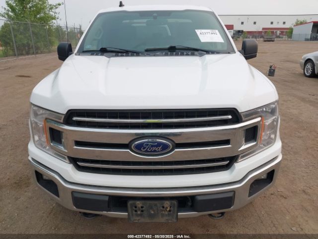 1FTFX1E44KKD52335 Ford F-150 Xlt