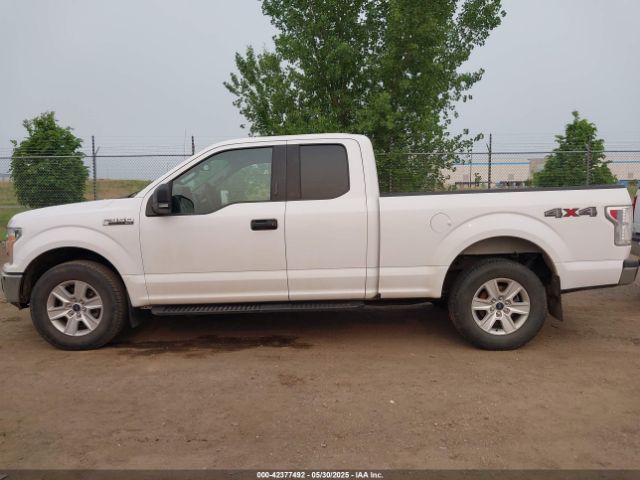 1FTFX1E44KKD52335 Ford F-150 Xlt