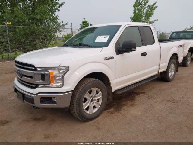 1FTFX1E44KKD52335 Ford F-150 Xlt