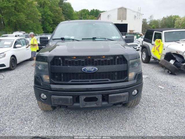 1FTFW1EF6EFC20873 Ford F-150 Fx4