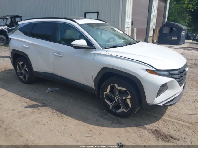 2023 HYUNDAI TUCSON 5NMJFCAE0PH282701
