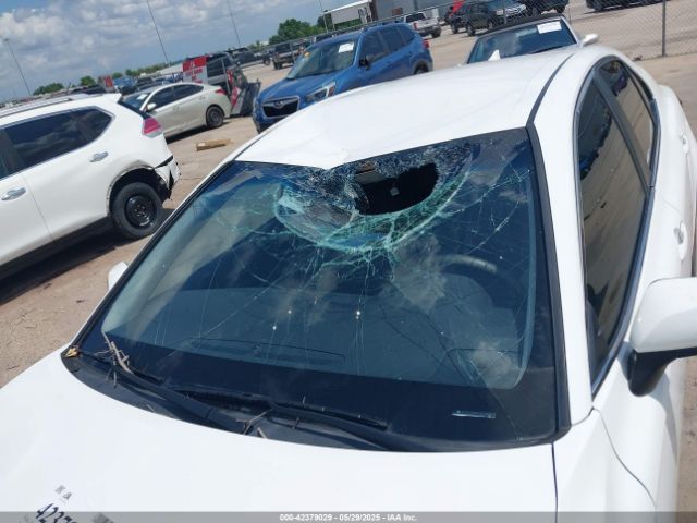 2019 TOYOTA CAMRY 4T1B11HK6KU276241 Photo 5
