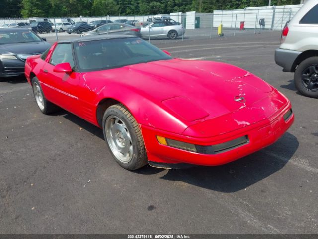 1994 CHEVROLET CORVETTE 1G1YY22P6R5111291