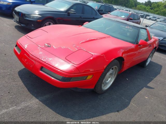 1994 CHEVROLET CORVETTE 1G1YY22P6R5111291 Photo 1