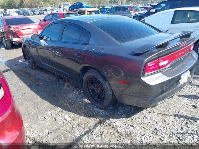 Dodge Charger 2014 2C3CDXAT7EH348677 Image 3
