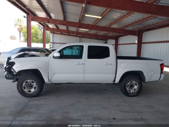 3TMCZ5AN3KM219836 Toyota Tacoma Sr V6