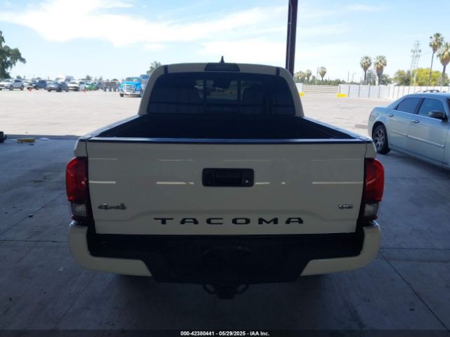 3TMCZ5AN3KM219836 Toyota Tacoma Sr V6