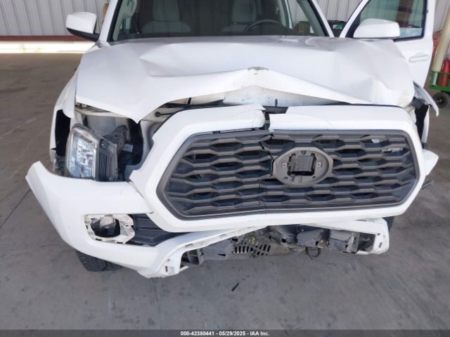 3TMCZ5AN3KM219836 Toyota Tacoma Sr V6