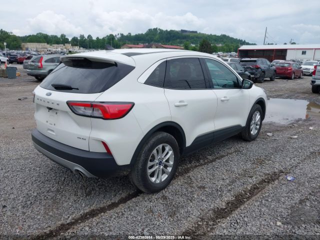 2022 FORD ESCAPE 1FMCU9G68NUB99651 Photo 3