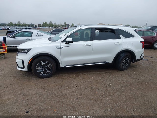 KNDRH4LG3P5151654 KIA t-gdi gamma-ii