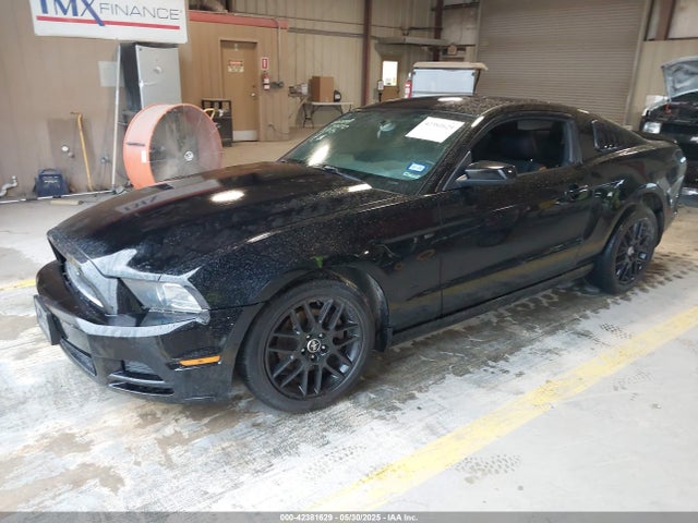 1ZVBP8AM6E5326770 Ford 2014