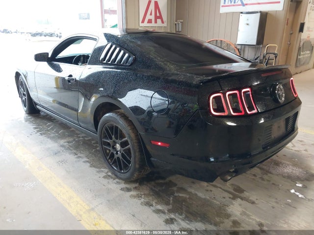 1ZVBP8AM6E5326770 Ford 2014