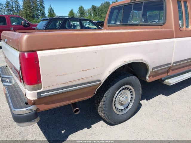 1987 FORD F150 1FTEX15H1HKA05262 Photo 5