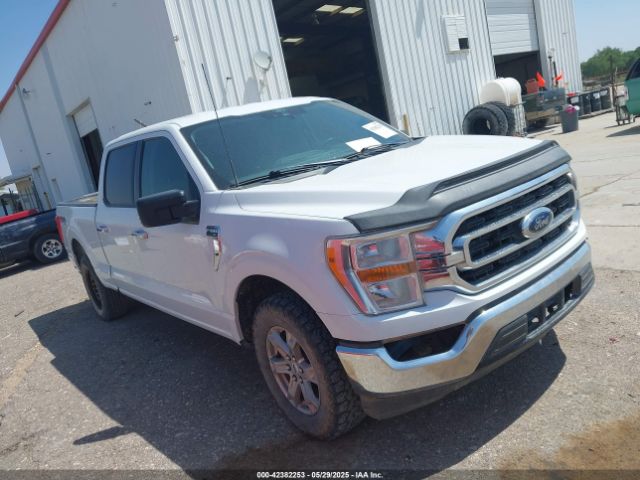 1FTFW1E80MFC64710 Ford F-150 Xlt