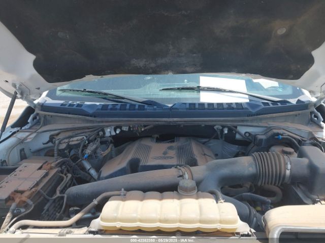 1FTFW1E49KKE83103 Ford F-150 Xlt