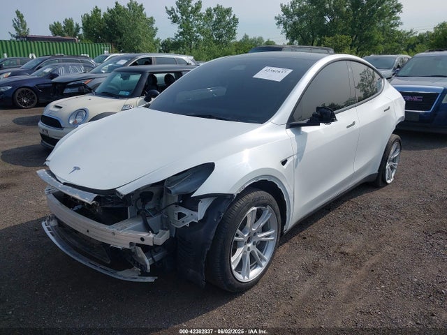 2023 TESLA MODEL Y 7SAYGDEEXPA060552 Photo 1