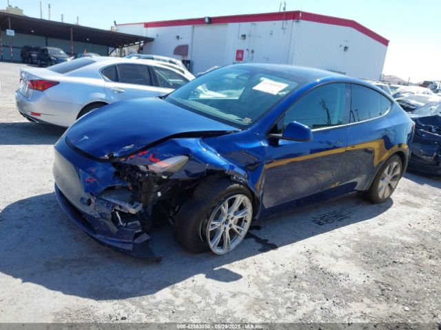 2023 TESLA MODEL Y 7SAYGDEE3PF816547 Photo 1