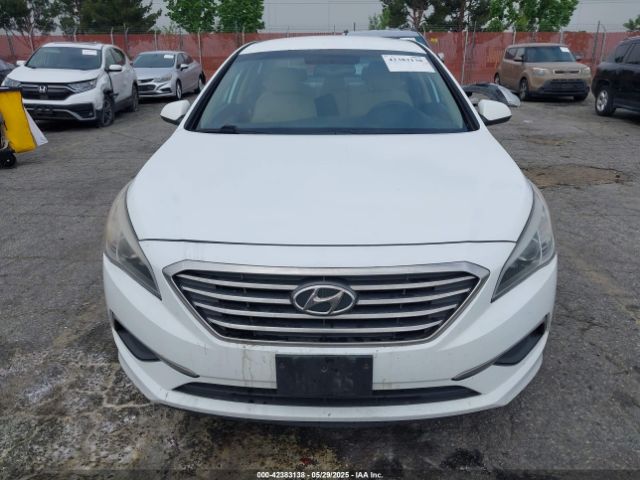 5NPE24AF5HH486426 Hyundai SONATA SE