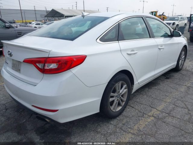 5NPE24AF5HH486426 Hyundai SONATA SE