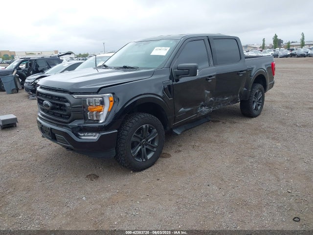 1FTFW1ED6PFA07908 Ford F-150