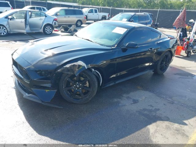 2019 FORD MUSTANG 1FA6P8THXK5124729 Photo 1