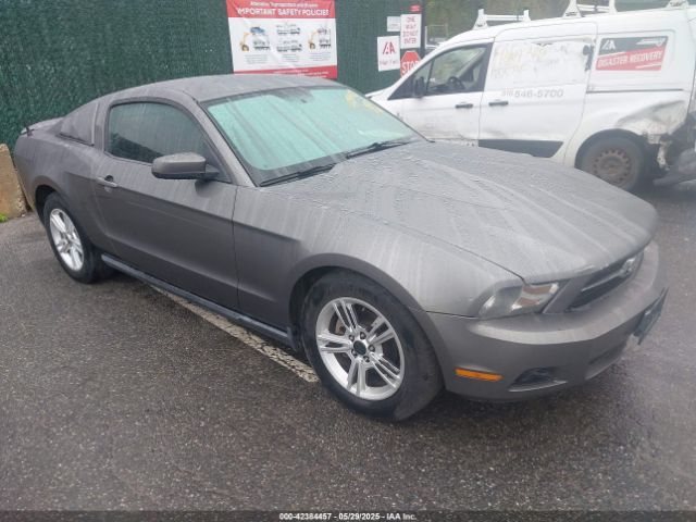 2010 FORD MUSTANG 1ZVBP8AN6A5138124