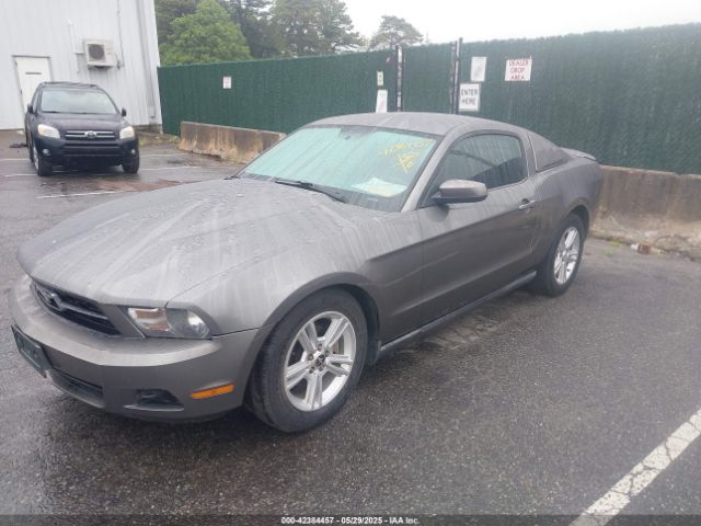 2010 FORD MUSTANG 1ZVBP8AN6A5138124 Photo 1