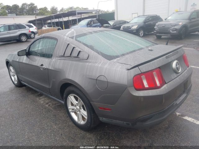 2010 FORD MUSTANG 1ZVBP8AN6A5138124 Photo 2