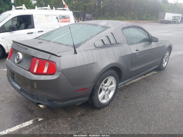 2010 FORD MUSTANG 1ZVBP8AN6A5138124 Photo 3