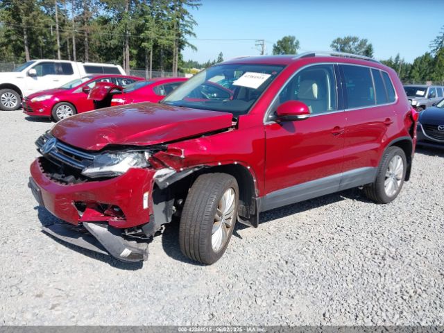 WVGBV3AX7EW081912 Volkswagen Tiguan Sel