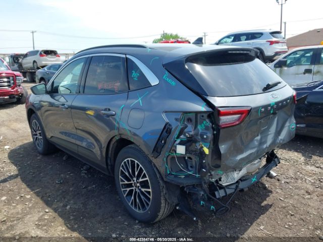 2023 FORD ESCAPE 1FMCU0E14PUB04024 Photo 2
