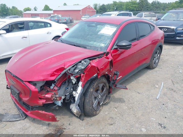 Ford 2023 2023 3FMTK1S50PMA87827 Image 2