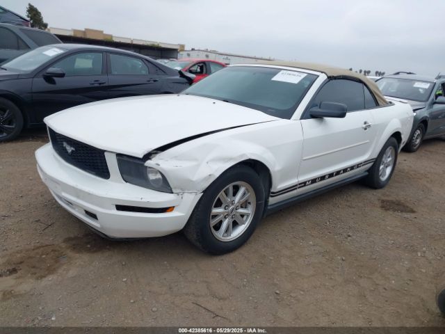 2007 FORD MUSTANG 1ZVFT84N575265691 Photo 1