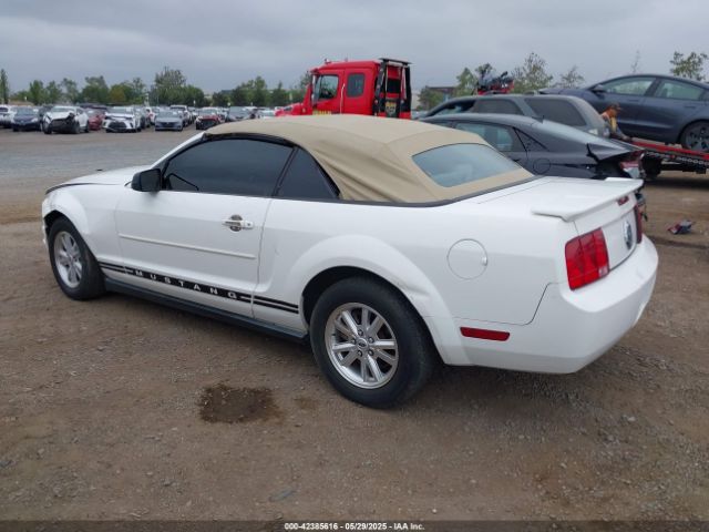 2007 FORD MUSTANG 1ZVFT84N575265691 Photo 2