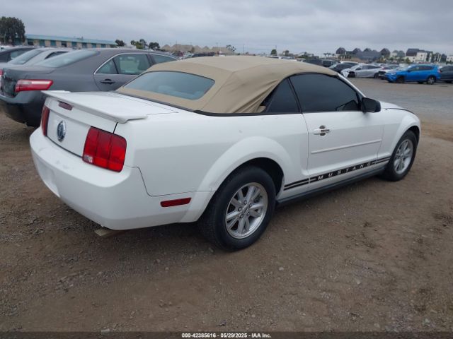 2007 FORD MUSTANG 1ZVFT84N575265691 Photo 3
