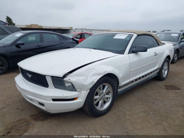 2007 FORD MUSTANG 1ZVFT84N575265691 Photo 5